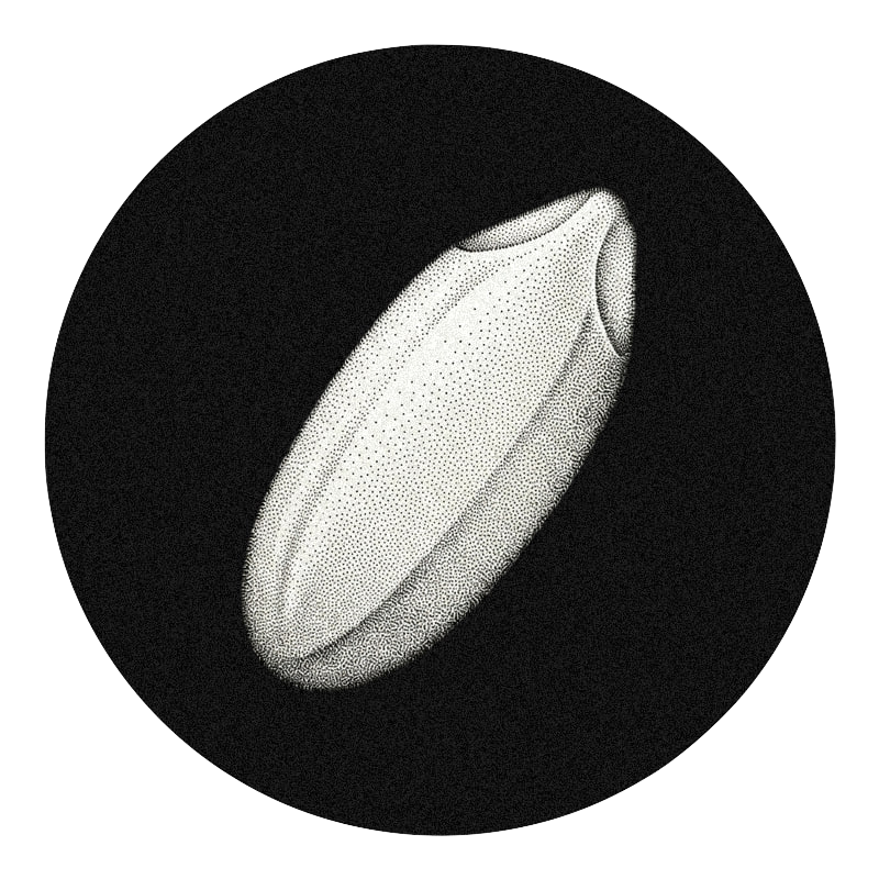 One Grain of Rice Logo